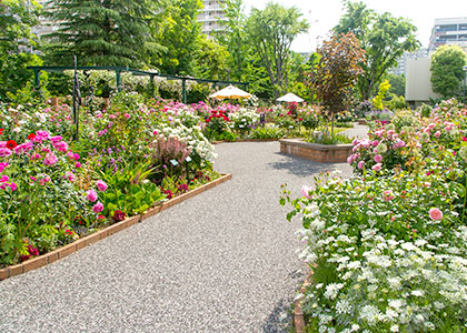 四季の香ローズガーデン